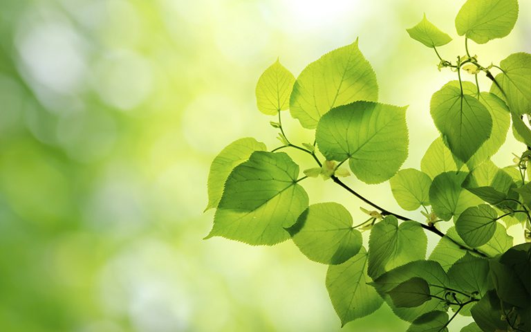 Heinäkuu töitä vajaalla miehityksellä jips-kesaloma